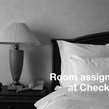 Hotel Meuble Zenith 리그나노 사비아도로 외부 사진